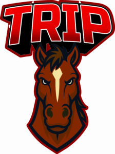 trip
